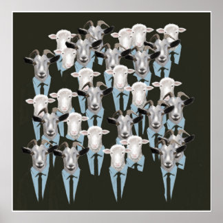 Får och getter poster