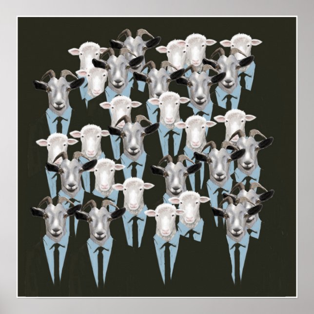 Får och getter poster (Framsidan)