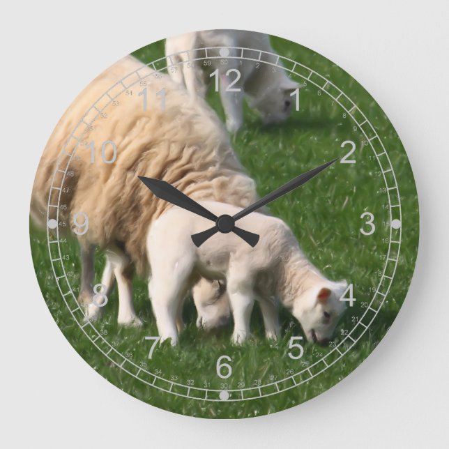 Får och lambs stor klocka (Framsida)