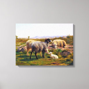 Får och lamm (av Rosa Bonheur) Canvastryck
