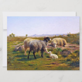 Får och lamm (av Rosa Bonheur) Kort