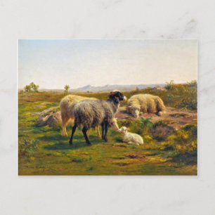 Får och lamm av Rosa Bonheur Vykort