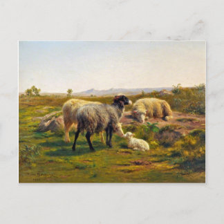 Får och lamm av Rosa Bonheur Vykort