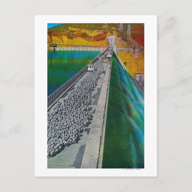 Får över Grand Coulee Dam Vykort (Framsida)