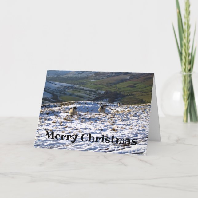 Får på ett Snowy Fält julkort Helgkort (Framsida)