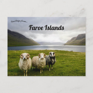 Får på Färöarna Vykort