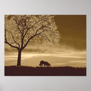 "Får på Horisont 3"~Gräns Collie Poster