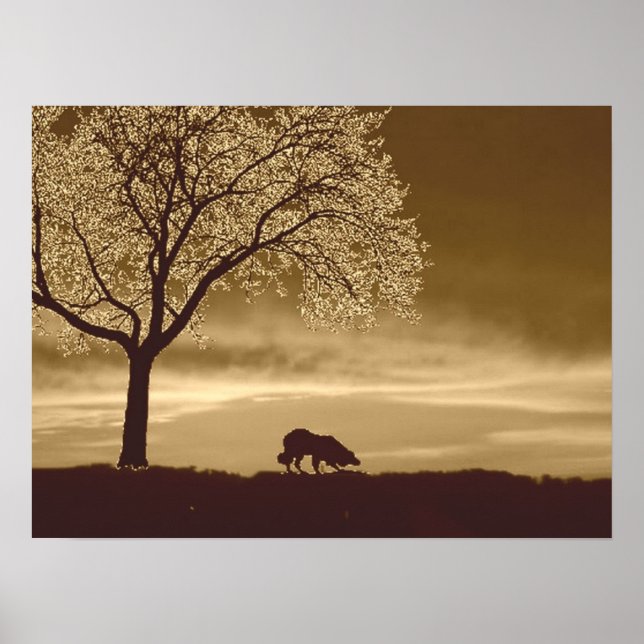 "Får på Horisont 3"~Gräns Collie Poster (Framsidan)