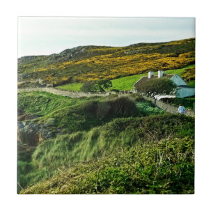 Får på Irland Kakelplatta