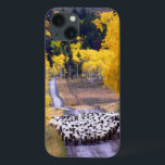 Får på Land Road<br><div class="desc">En flock får kom längs en land-väg med aspen invändig fot nära Columbine, Colorado. Aspen är en blaze med fall färg. Foto insänt av en Land-läsare. I land firas den häpnadsväckande skönheten, engagemanget hos människor, uthålliga värderingar och en andlig belönande livsstil på den amerikanska landsbygden. Våra entusiastiska läsare bidrar med...</div>