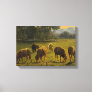Får på landsbygden (av Rosa Bonheur) Canvastryck
