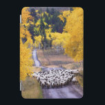 Får på landvägen iPad mini skydd<br><div class="desc">En flock av fårkomen besegrar enfodrad landväg nära Columbine, Colorado. Asparna är en eldsvåda med nedgångfärg. Foto som sänds av en landavläsare. Landtidskriften firar den hisnande skönheten, kopplande in folk och att uthärda värderar och den spiritually lönande livsstilen av amerikanbygden. Våra entusiastiska avläsare bidrar nästan trekvarten av varje tidskrifts innehåll...</div>