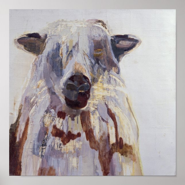 Får Poster (Framsidan)