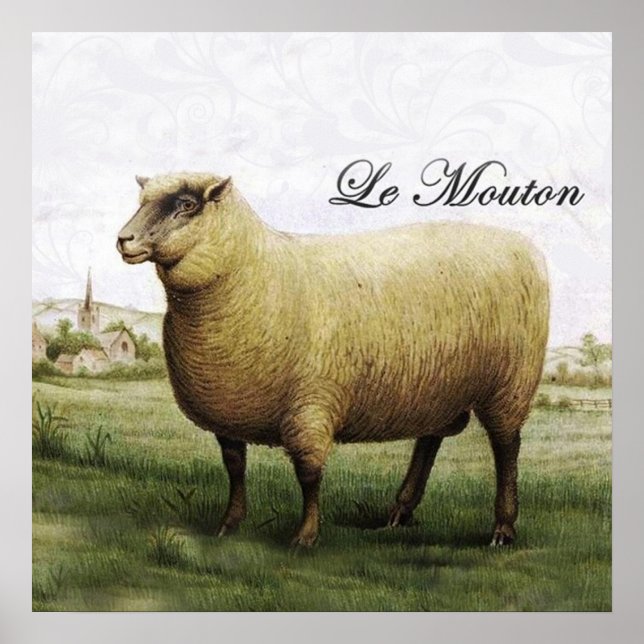 Får Poster (Framsidan)