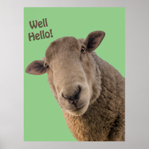 Får Poster