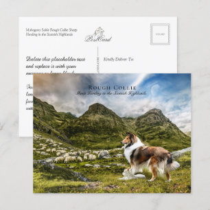 Får- Sable Rough Collie - Insamlingsbar Vykort