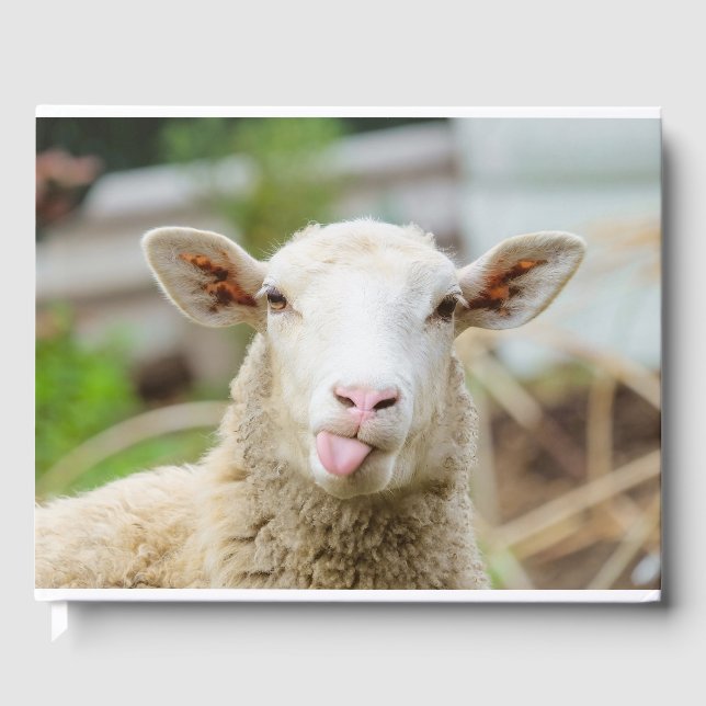 Får show tunga gästböcker (Framsida)