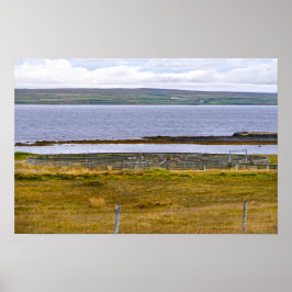 Får-sorteringshage vid en fjord, Island Poster