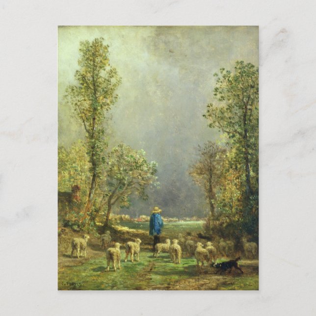 Får titta på stormen vykort (Framsida)