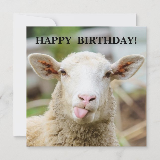 Får visar tunga julkort (Framsida)