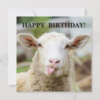 Får visar tunga julkort