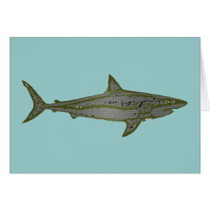 Fara - Vild Sharks Hälsningskort