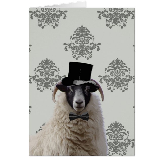 Fårande bridegroom-får i top hat hälsningskort (Framsidan)