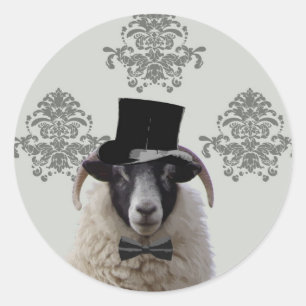 Fårande bridegroom-får i top hat runt klistermärke