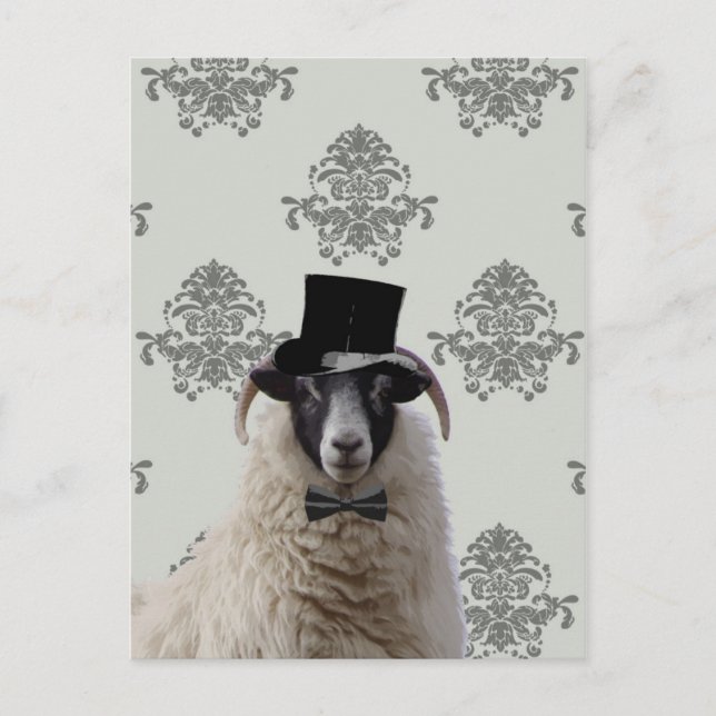 Fårande bridegroom-får i top hat vykort (Framsida)