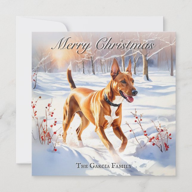 Faraoh Hund Hund I Vinter Snö Jul Julkort (Framsida)