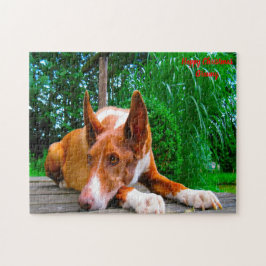 Faraohund. Pussel