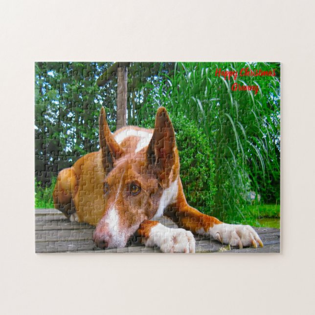 Faraohund. Pussel (Horisontell)