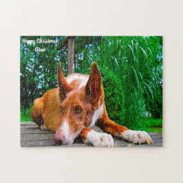 Faraohund. Pussel