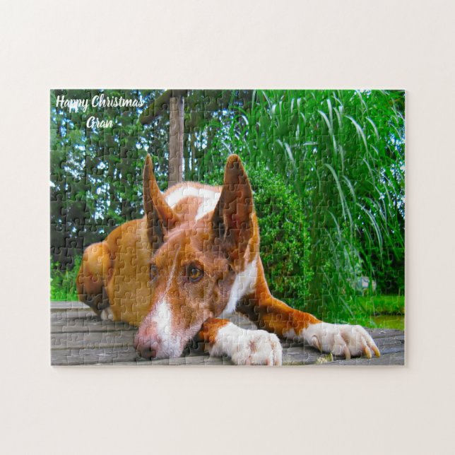 Faraohund. Pussel (Horisontell)