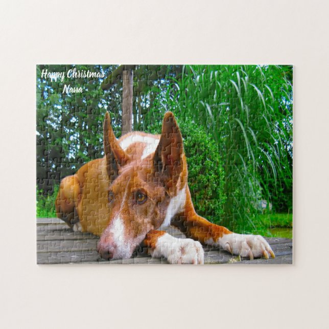 Faraohund. Pussel (Horisontell)