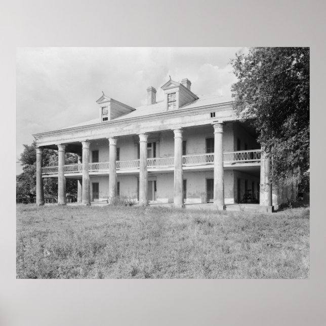 farbror Sam Plantation Poster (Framsidan)