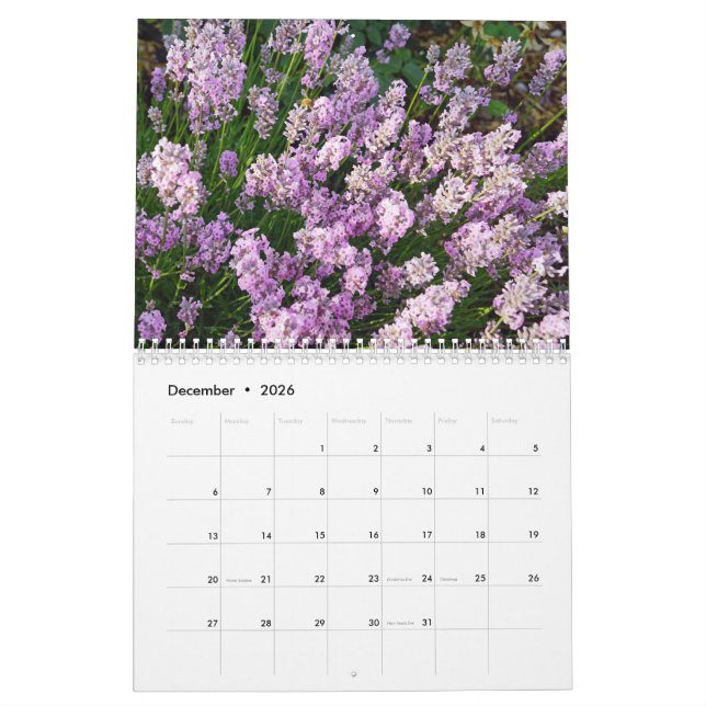 Farbzauber Lavendel Kalender (Dec 2026)