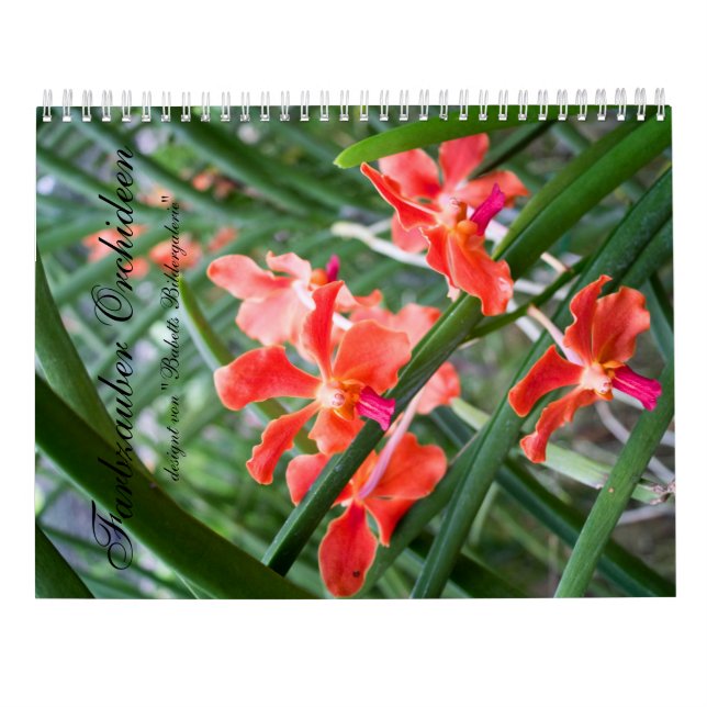 Farbzauber Orchideen Kalender (Baksida)