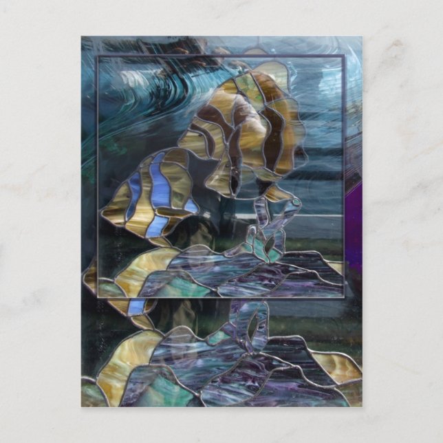 Färdigt fiskvykort för glasfisk vykort (Framsida)