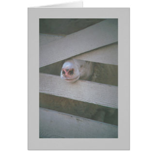 Fårens muskel genom staketet hälsningskort