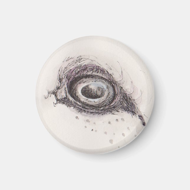 Fårens öga – Blicksamlingen Magnet (Framsidan)
