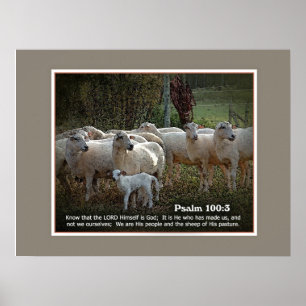 Fåret av hans PasturewScripture Poster