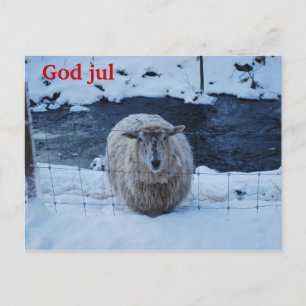 Fåret Fjun julkort Vykort