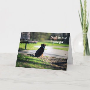 Farewell German Shepherd Card Kort