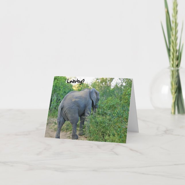 Farewell South Afrika Elephant Card Tack Kort (Framsida)