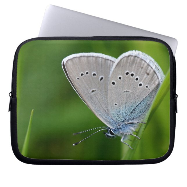 Farfalla Laptop sleeve (Framsidan)