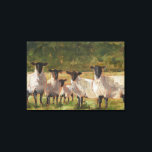 Fårfamiljen Canvastryck<br><div class="desc">Fårfamiljen II av Ethan Harper. En grupp får som är gjord i penselliknande drag.</div>
