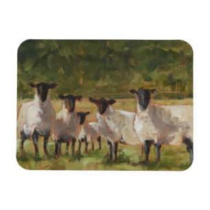 Fårfamiljen Magnet