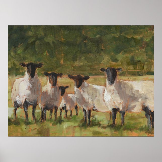 Fårfamiljen Poster (Framsidan)