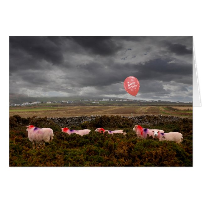 Fårfår Hälsningskort (Framsidan Horizontal)